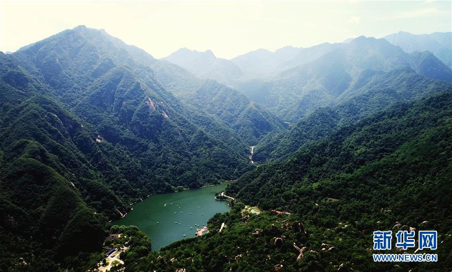 （新華全媒頭條·圖文互動）（4）綠色的啟示——西部地區(qū)生態(tài)問題典型個案再調(diào)查