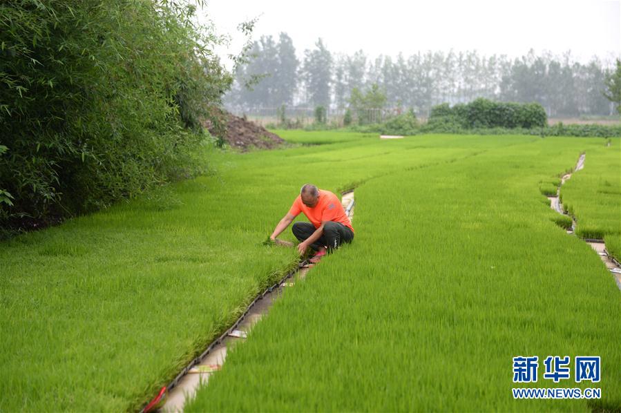 （圖文互動(dòng)）（2）“以萬全準(zhǔn)備防萬一發(fā)生”——安徽沿淮地區(qū)防汛備汛見聞