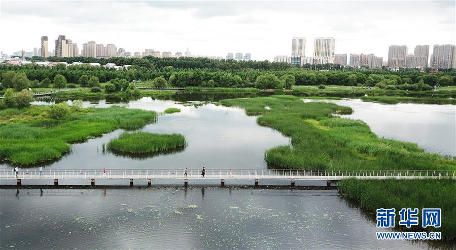 （走向我們的小康生活·圖文互動(dòng)）（1）水清、地綠、空氣新——最北省份黑龍江繪就生態(tài)治理新畫卷