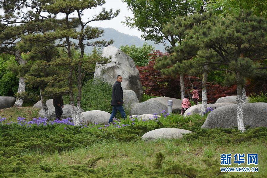 （新華視點·圖文互動）（1）警惕重金“移石造景”之風：有的景觀石一塊逾百萬元