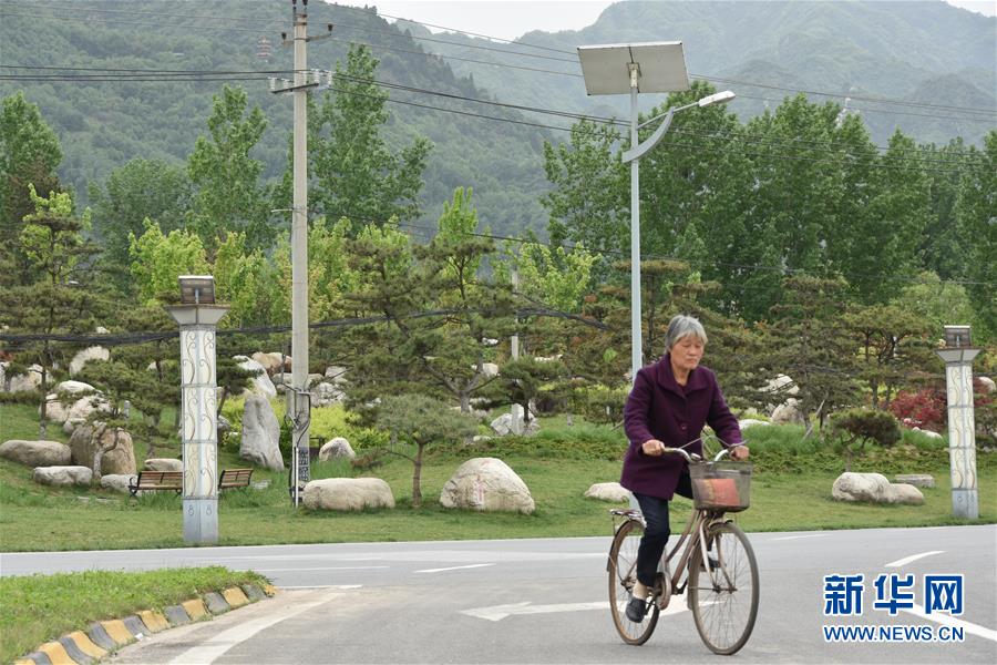 （新華視點·圖文互動）（5）警惕重金“移石造景”之風：有的景觀石一塊逾百萬元