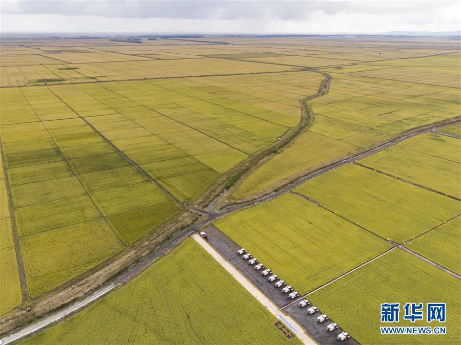 （新華全媒頭條·圖文互動）（2）天道酬勤的大地贊歌——寫在第三個(gè)中國農(nóng)民豐收節(jié)之際