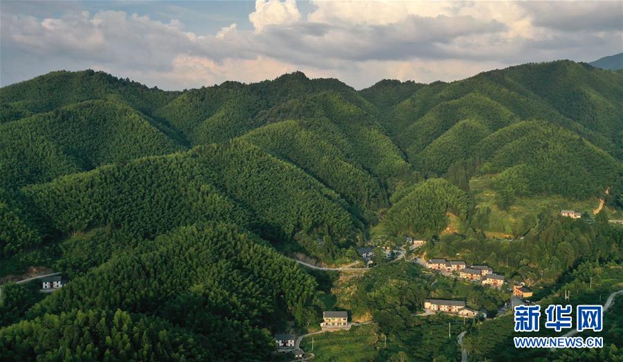 （新華全媒頭條·走向我們的小康生活·圖文互動(dòng)）（2）神山村“神奇”何在？——井岡山深處覓答案