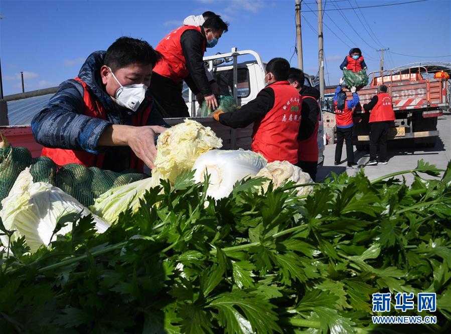 （在習(xí)近平新時(shí)代中國特色社會主義思想指引下——新時(shí)代新作為新篇章·習(xí)近平總書記關(guān)切事·圖文互動(dòng)）（2）“菜籃子”里的力量——全國各地努力做好保障和改善民生工作在行動(dòng)