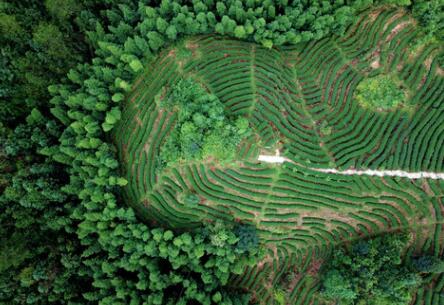 福建龍巖：高效用地，提升生態(tài)環(huán)境水平