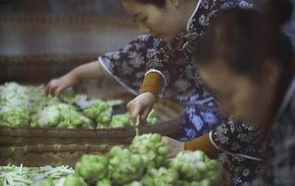 涪陵榨菜：舌尖上的“國民下飯菜”