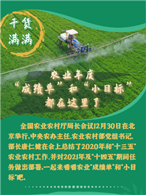 干貨滿滿！農業(yè)年度“成績單”和“小目標”都在這里了