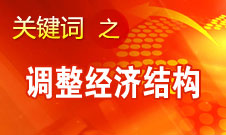 張平：轉(zhuǎn)變經(jīng)濟發(fā)展方式最重要的是要調(diào)整經(jīng)濟結(jié)構(gòu)