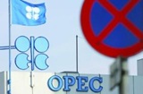 OPEC鷹派成員國敦促減產 沙特壓力加大